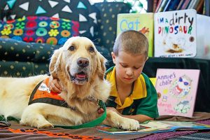 Stumpy the story dog opens a world of reading