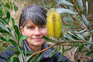 Gisborne’s Anzac garden unveiled