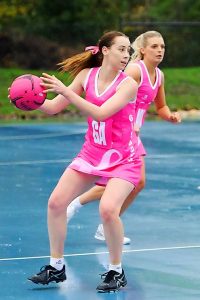 Reshuffle in the kennel